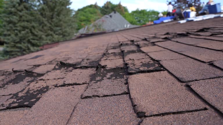 Fast & Reliable Emergency Roof Repairs in West Dundee, IL